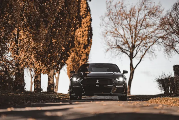 HippoZino Kasino Android/iOS aplikace